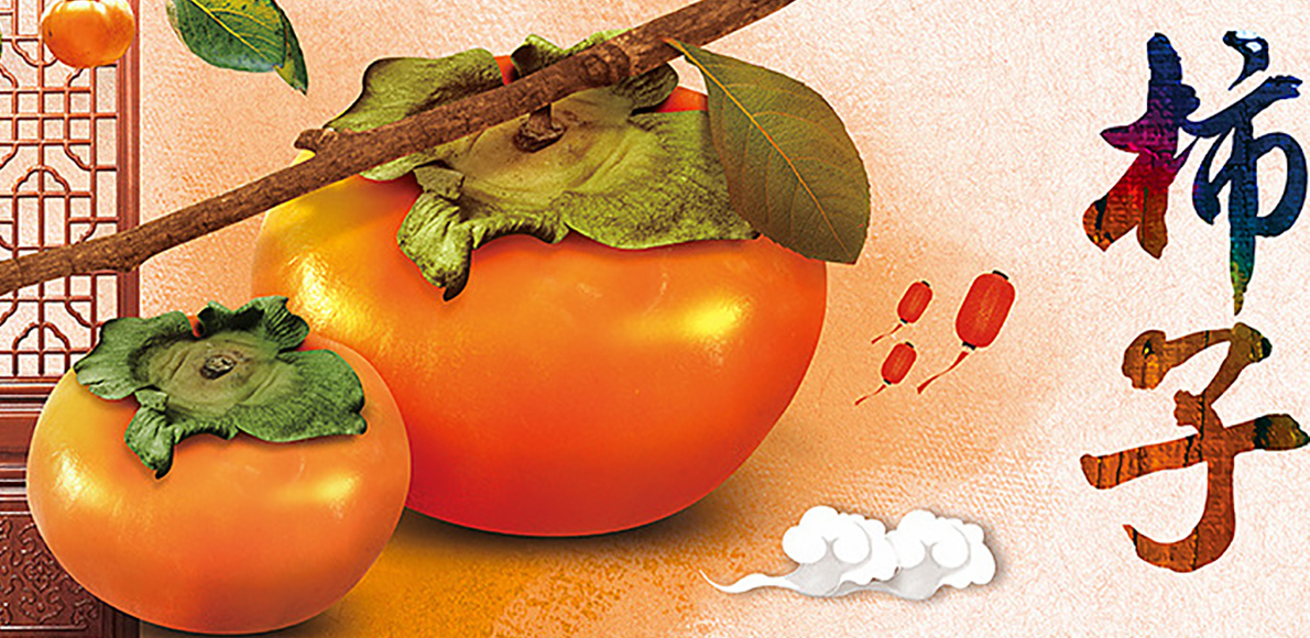【全丰生物】植物生长调节剂在果树上的应用——柿子（一）